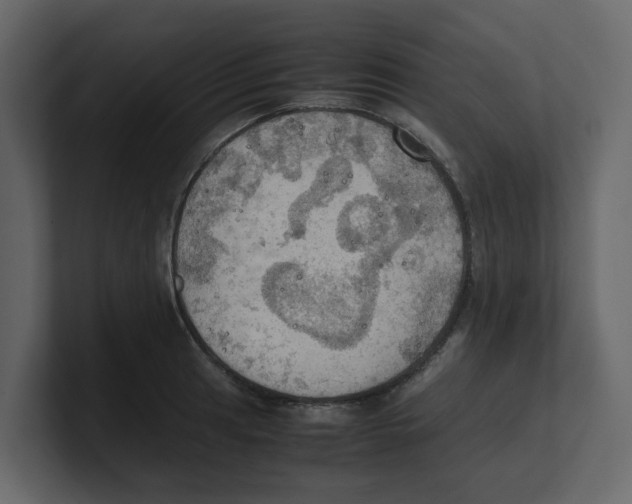 X0000100481041200807111057