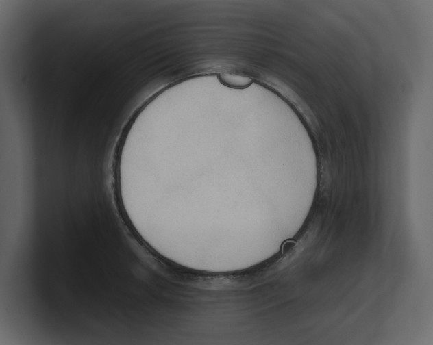 X0000100481042200807111057