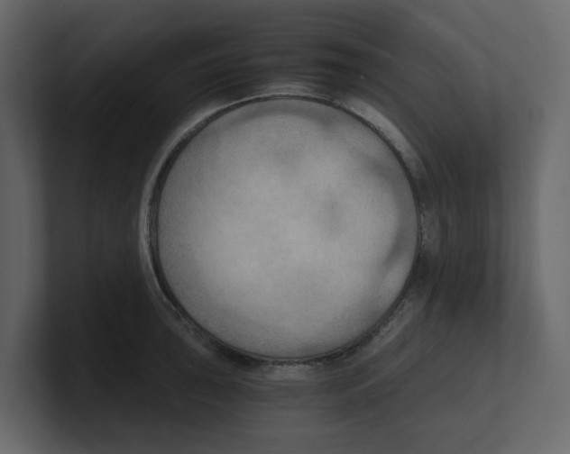 X0000100481043200807111057