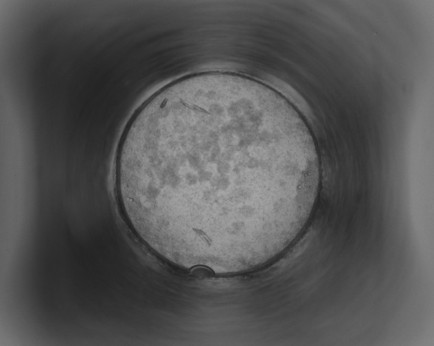 X0000100481044200807111057