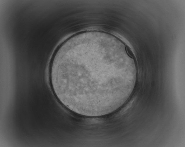 X0000100481045200807111057