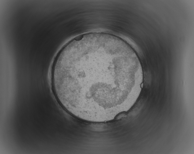 X0000100481046200807111057