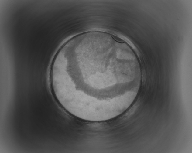 X0000100481048200807111057