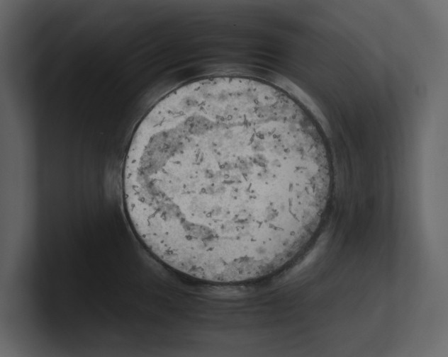 X0000100481049200807111057