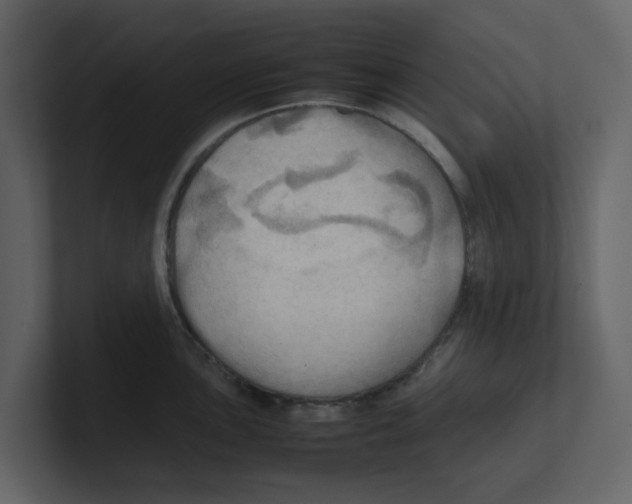 X0000100481051200807111057