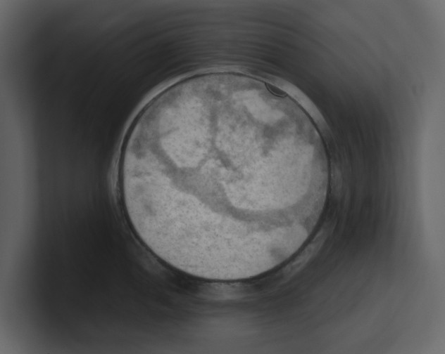 X0000100481052200807111057