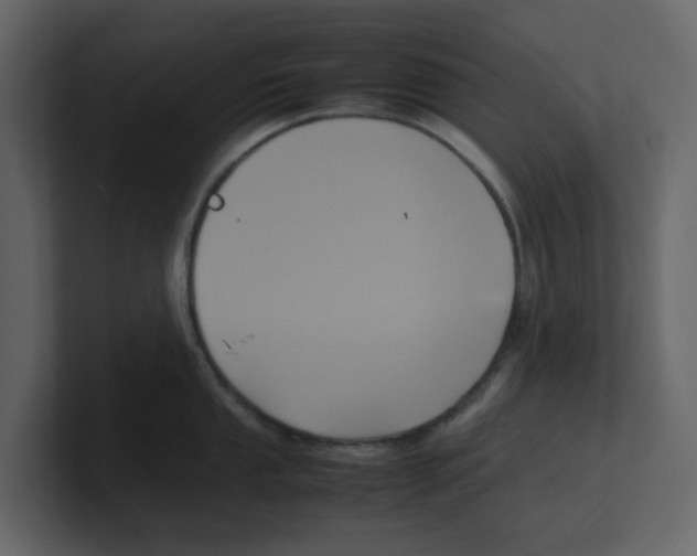 X0000100481053200807111057