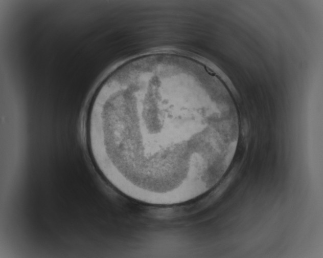 X0000100481054200807111057