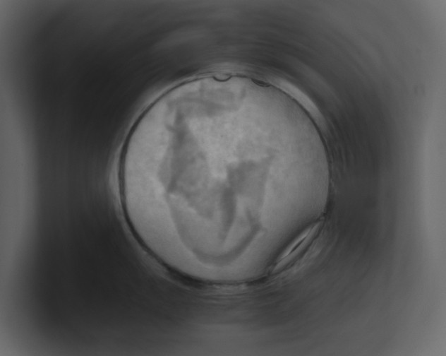 X0000100481055200807111057