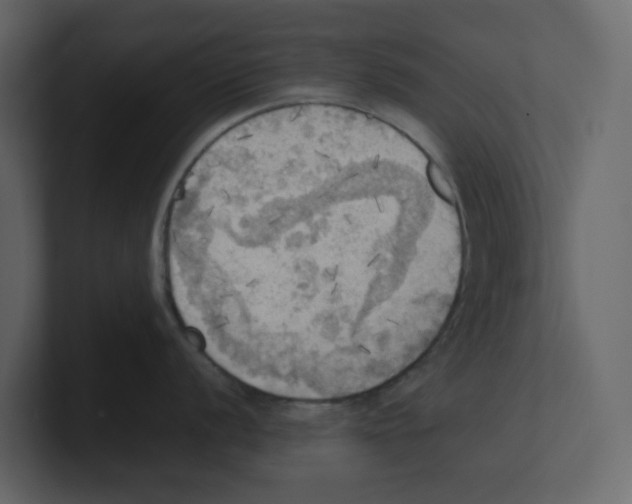 X0000100481056200807111057