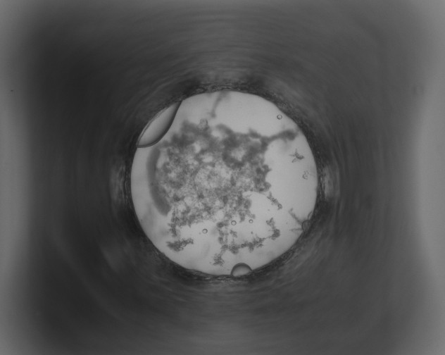 X0000100481059200807111057