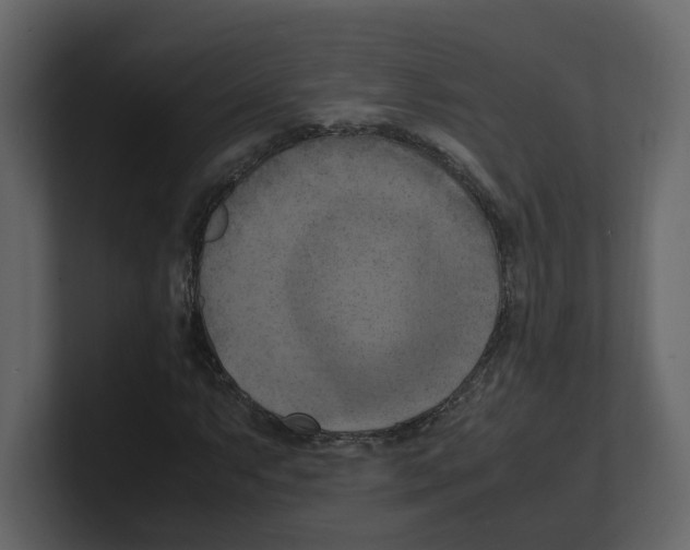 X0000100481063200807111057