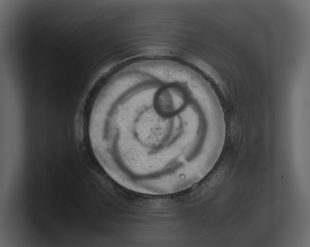 X0000100481067200807111057