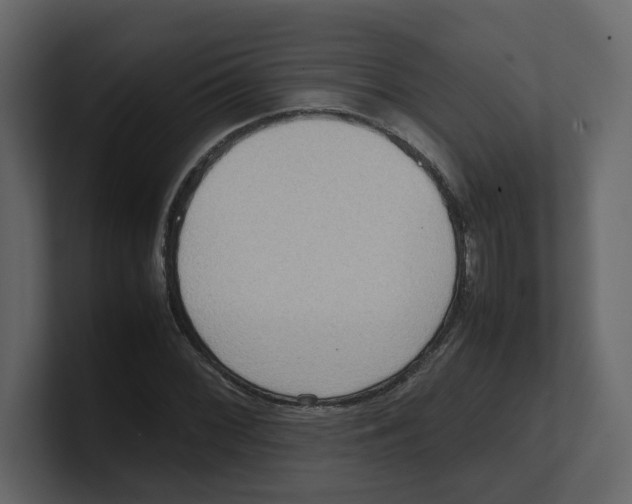 X0000100481068200807111056