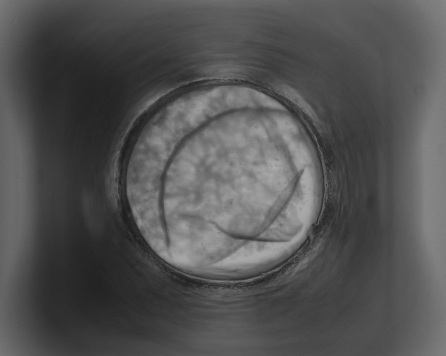 X0000100481071200807111056