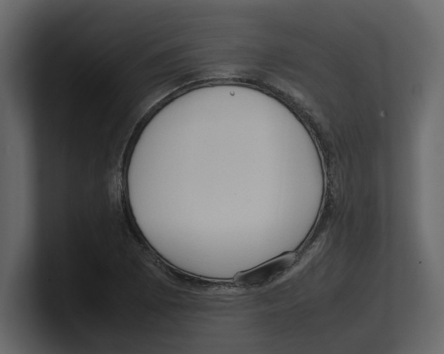 X0000100481073200807111056