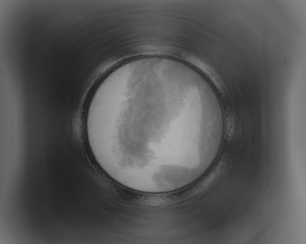 X0000100481074200807111056