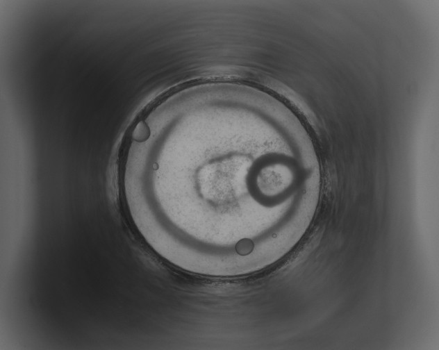 X0000100481075200807111056