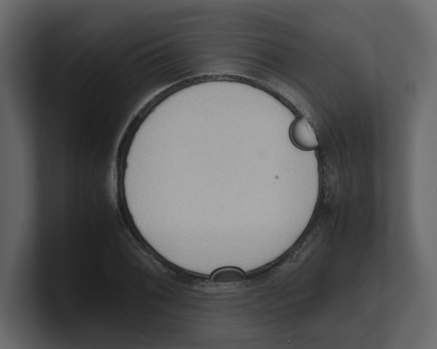 X0000100481076200807111056