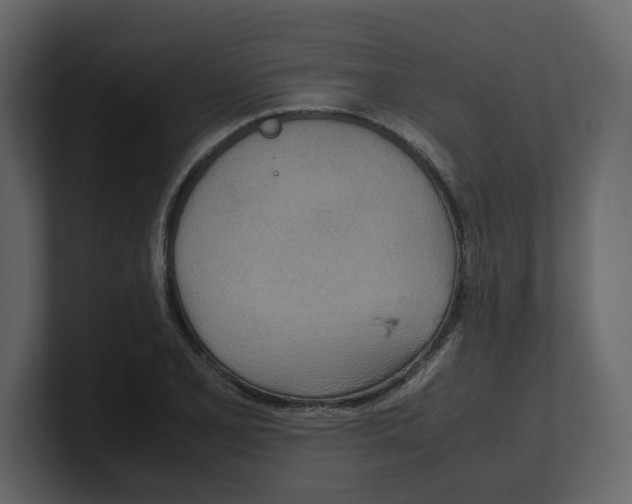 X0000100481077200807111056