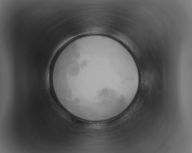 X0000100481078200807111056