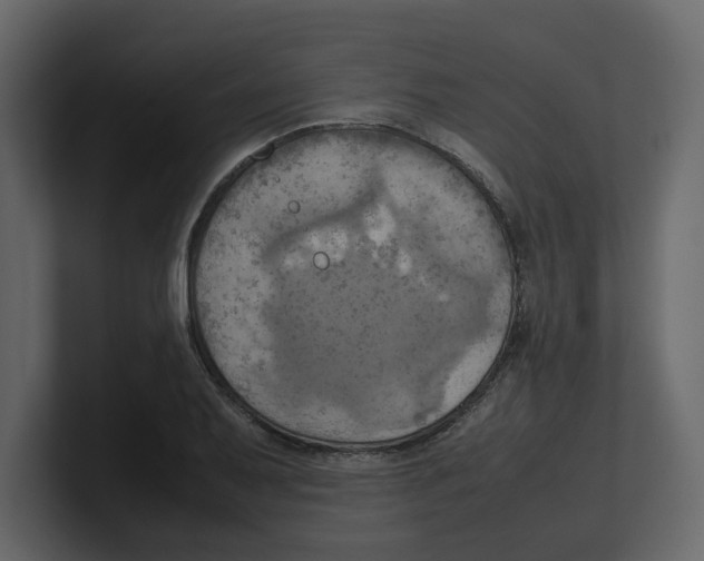 X0000100481079200807111056