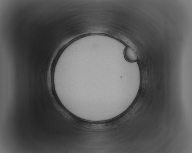 X0000100481080200807111056