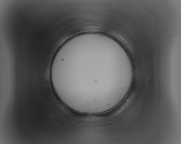 X0000100481081200807111056