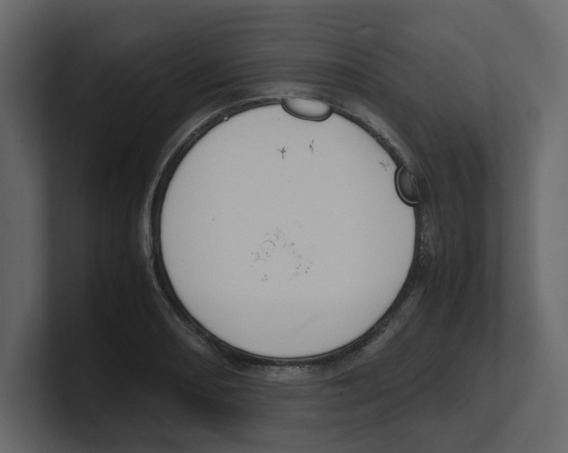 X0000100481082200807111056