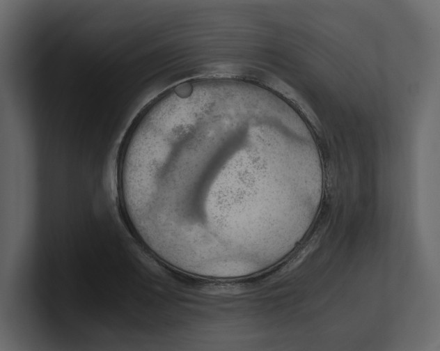 X0000100481083200807111056