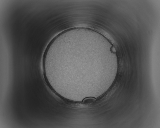 X0000100481084200807111056