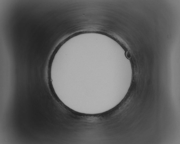 X0000100481085200807111056