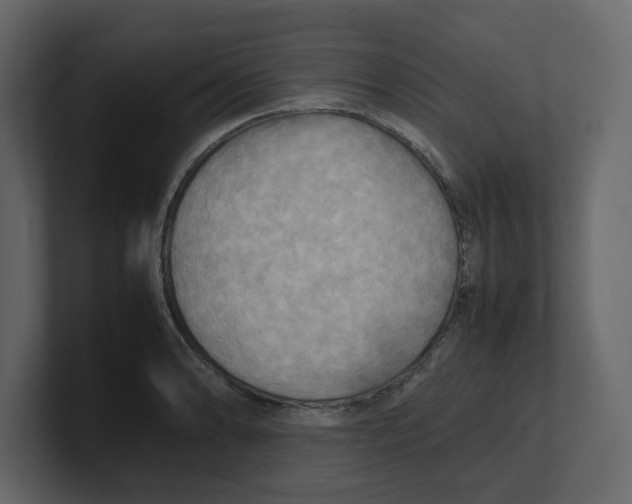 X0000100481086200807111056