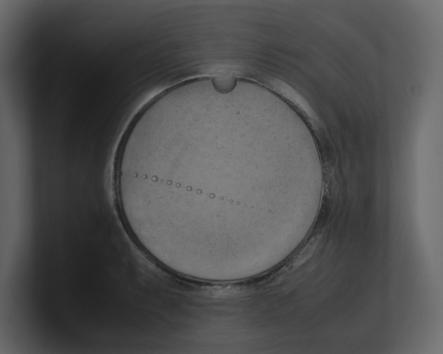 X0000100481087200807111056