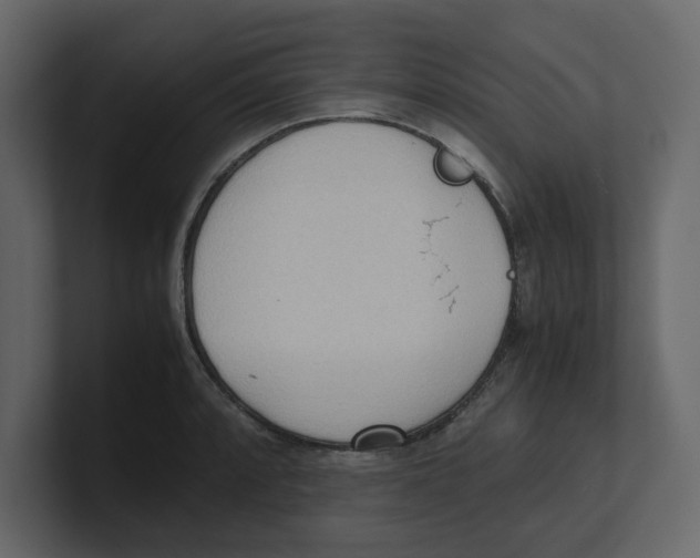 X0000100481088200807111056