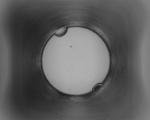 X0000100481089200807111056