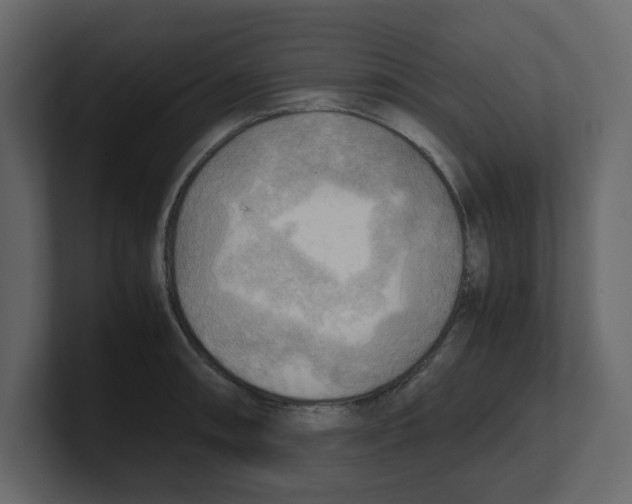 X0000100481090200807111056