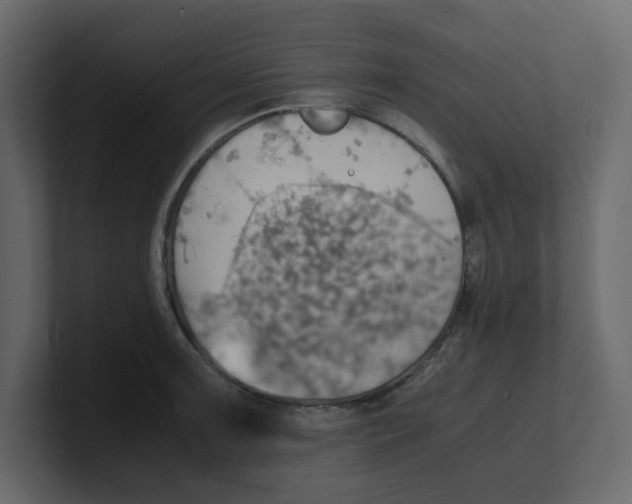 X0000100481091200807111056