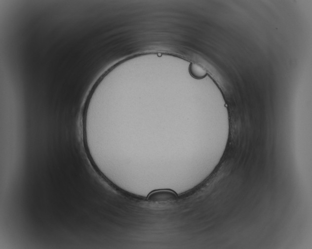 X0000100481092200807111056