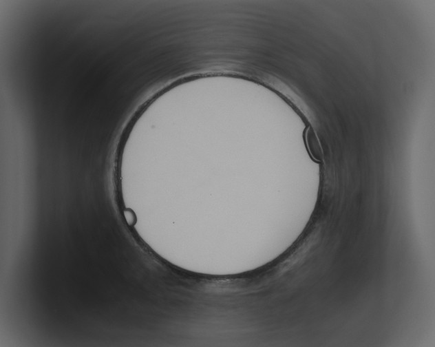 X0000100481093200807111056