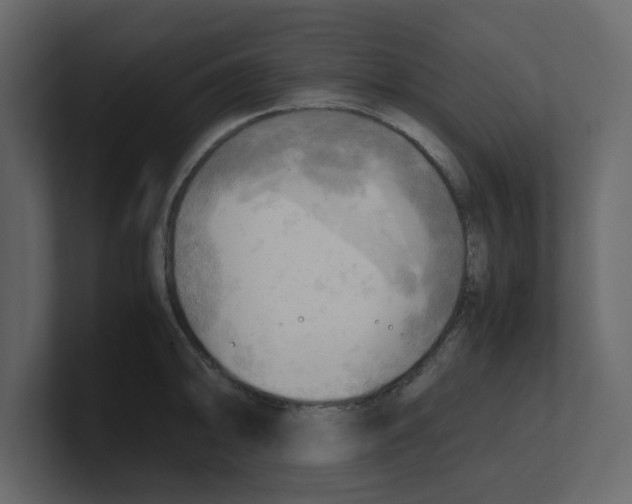 X0000100481094200807111056