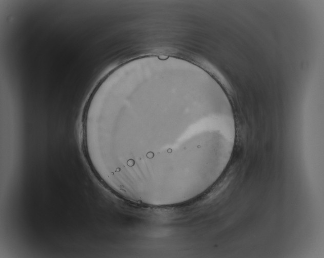 X0000100481095200807111056