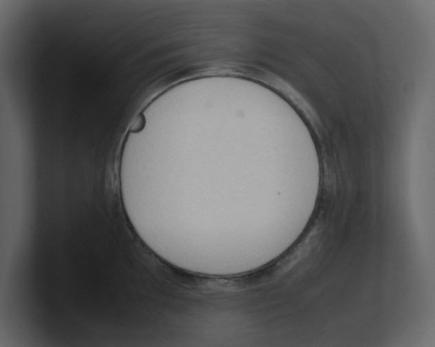 X0000100481097200807111056