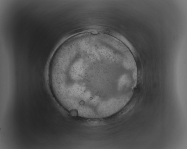 X0000100481099200807111056