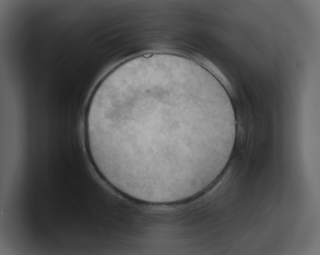 X0000100481100200807111056