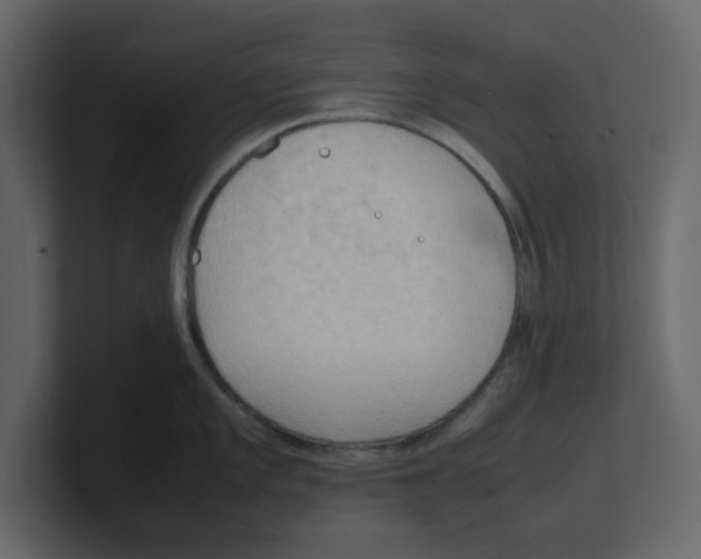 X0000100481101200807111056