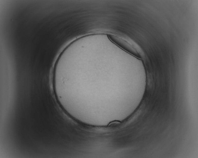 X0000100481102200807111056