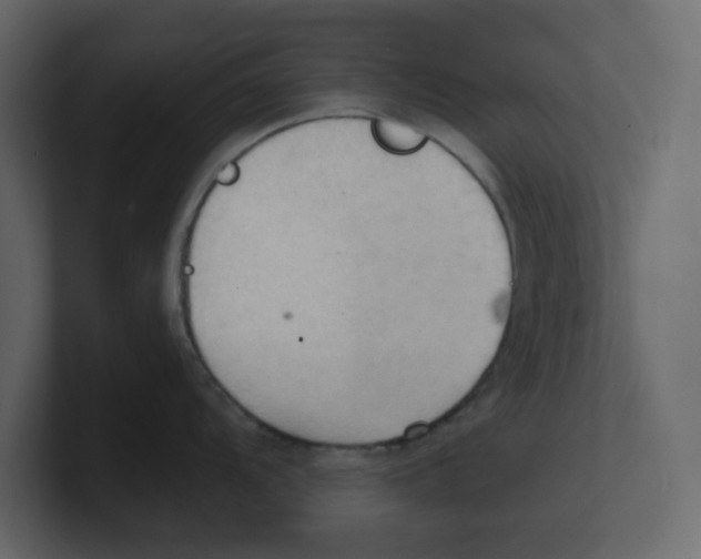 X0000100481104200807111056