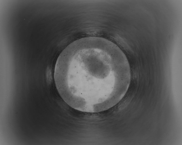 X0000100481106200807111055