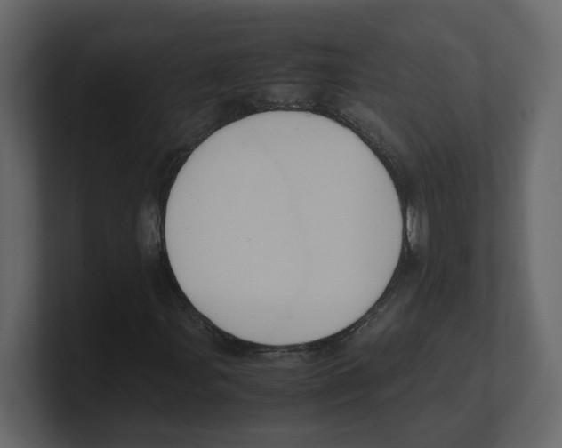 X0000100481107200807111055